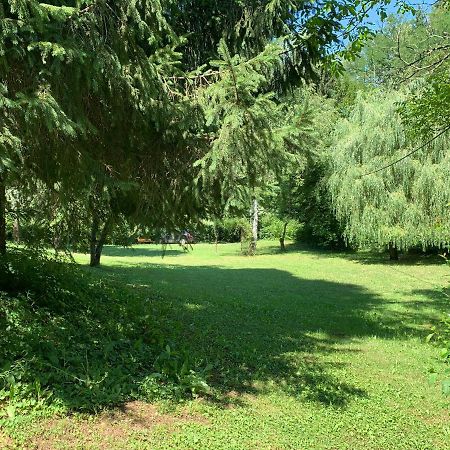 Holiday Home Dragonfly River House On Korana Near Plitvice And Mreznica Barilovic 외부 사진