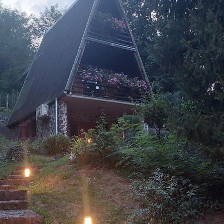 Holiday Home Dragonfly River House On Korana Near Plitvice And Mreznica Barilovic 외부 사진