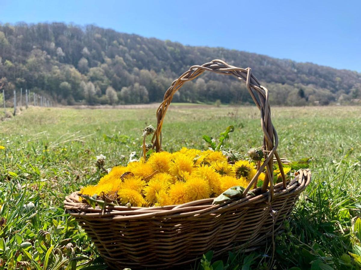 Holiday Home Dragonfly River House On Korana Near Plitvice And Mreznica Barilovic 외부 사진