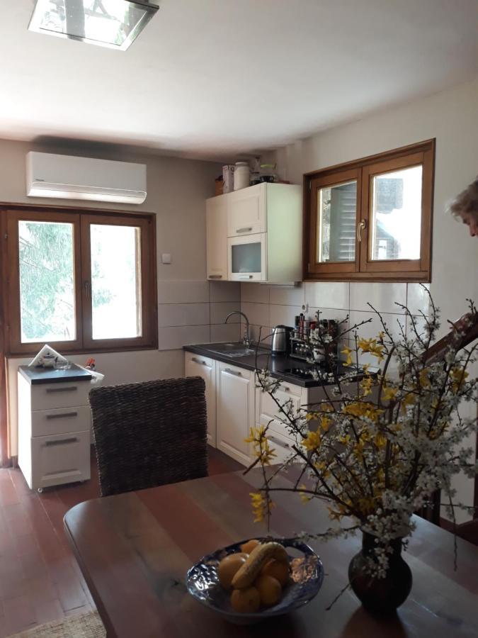 Holiday Home Dragonfly River House On Korana Near Plitvice And Mreznica Barilovic 외부 사진