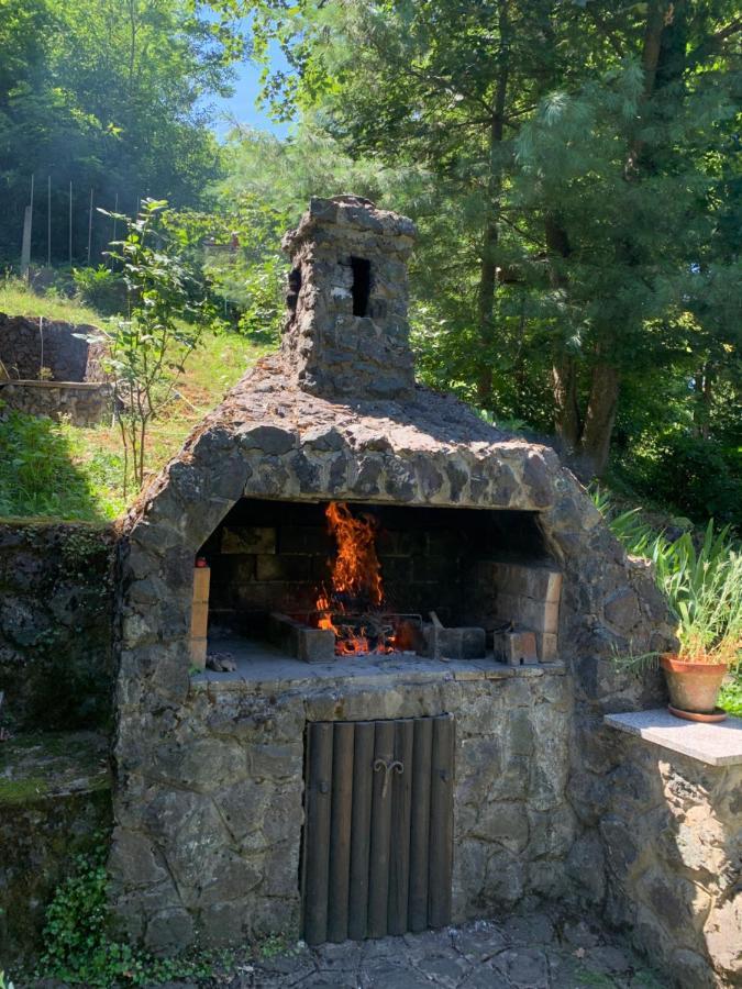 Holiday Home Dragonfly River House On Korana Near Plitvice And Mreznica Barilovic 외부 사진